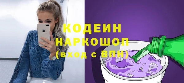 молекула духа Вяземский