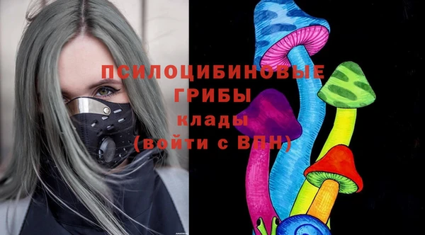 мяу мяу мука Кинешма