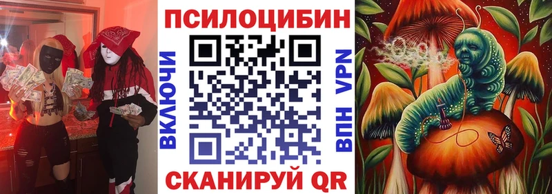 блэк спрут зеркало  Ковров  Галлюциногенные грибы мухоморы 