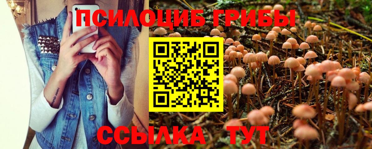 Галлюциногенные грибы Magic Shrooms Ковров